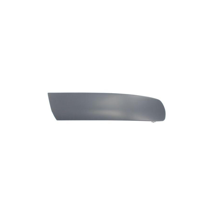 Blic 5510-00-9568924P Bumper Moulding