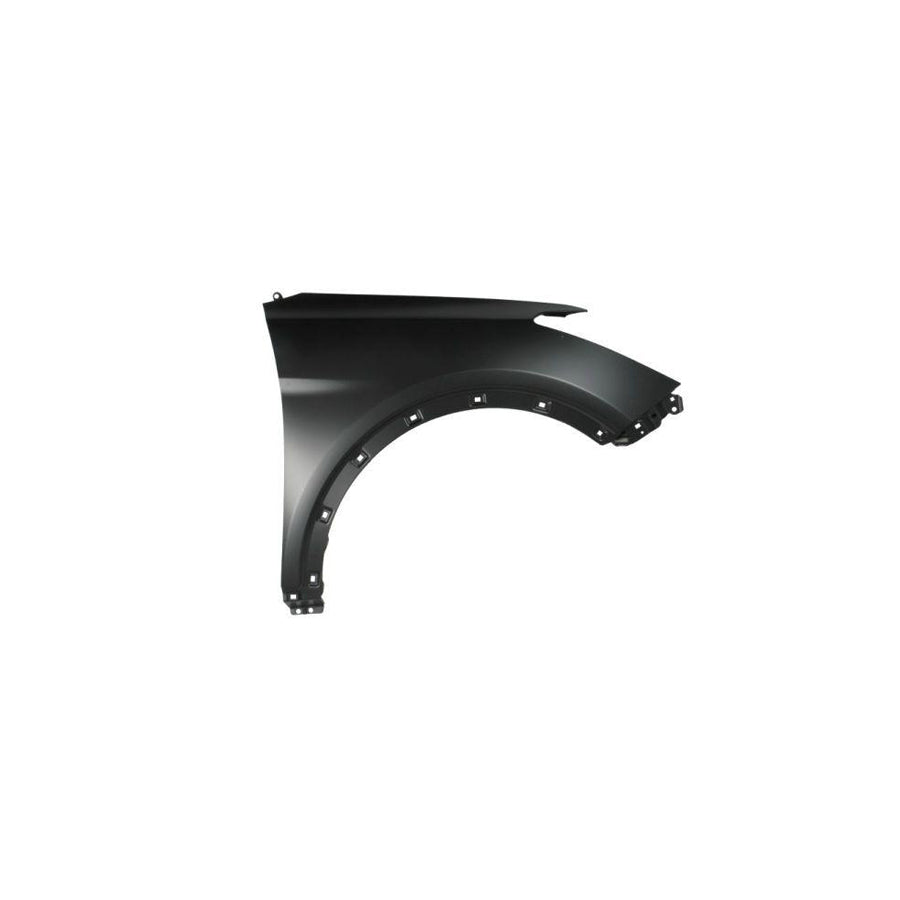 Blic 6504-04-3182312P Wing Fender For Hyundai Santa Fé III (Dm)