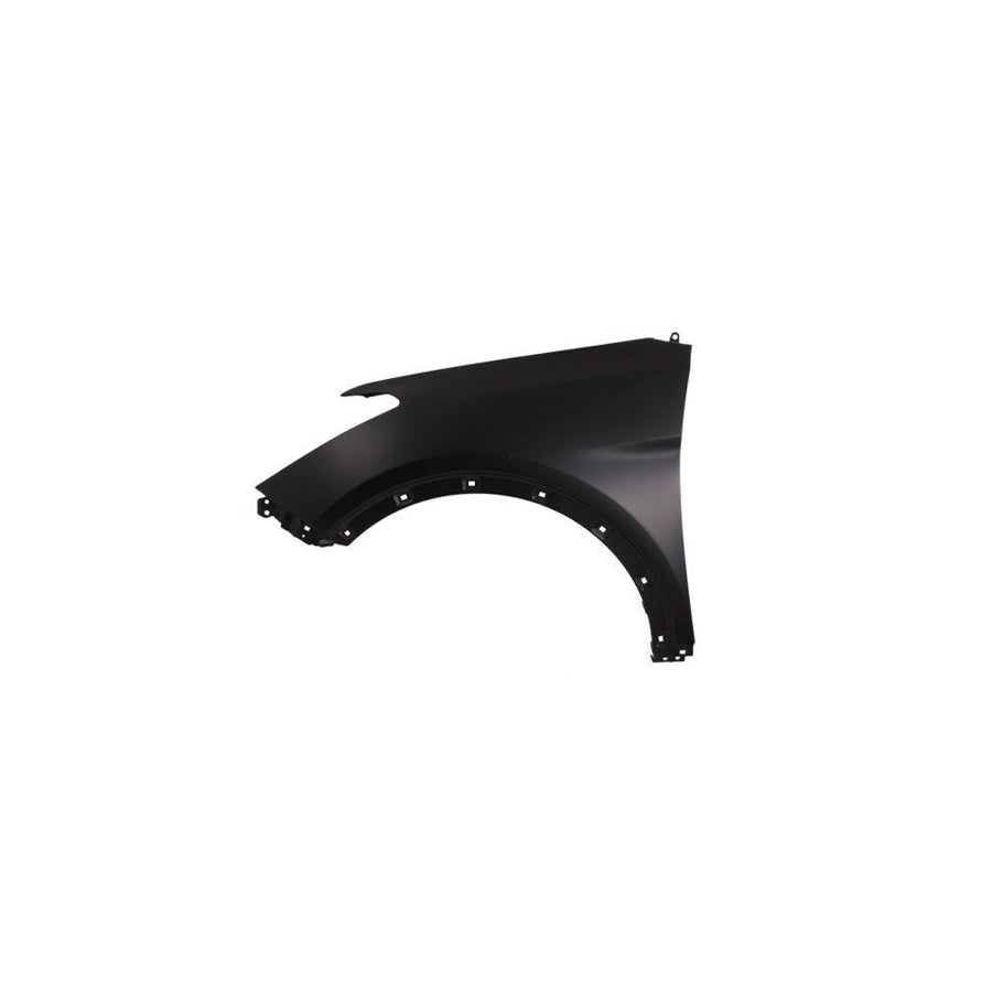 Blic 6504-04-3182311P Wing Fender For Hyundai Santa Fé III (Dm)