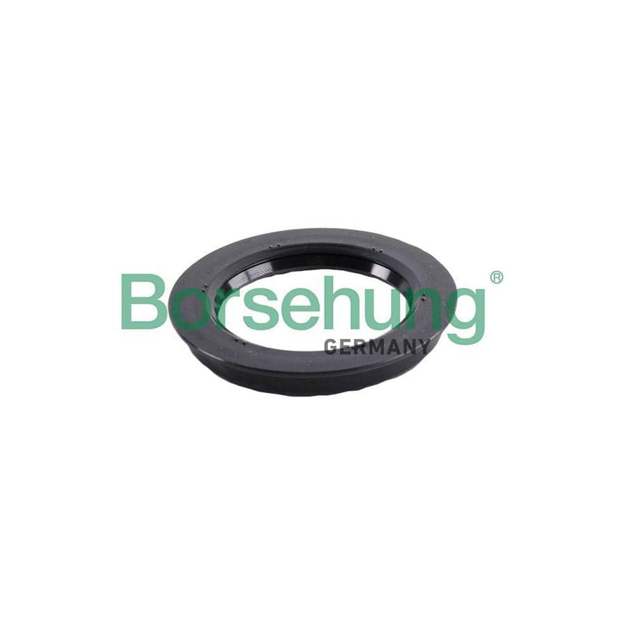 Borsehung B17835 Shaft Seal, Wheel Hub