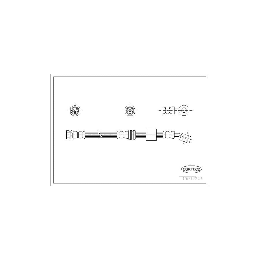 Corteco 19032223 Brake Hose | ML Performance UK