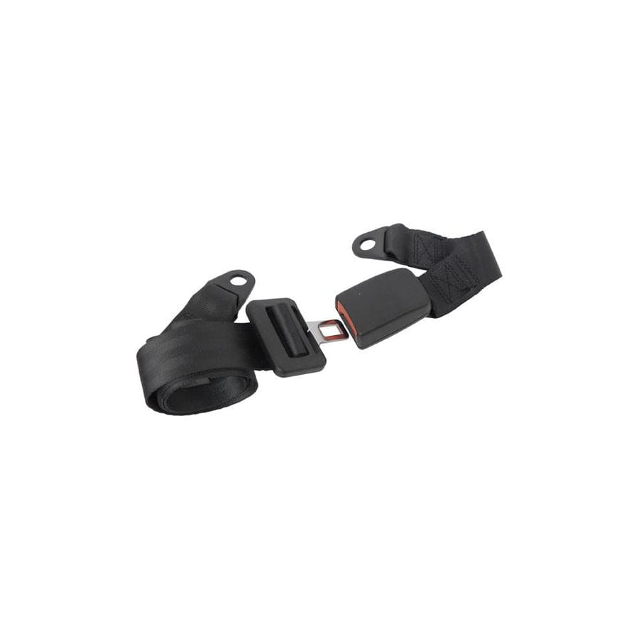 Carpoint 1434601 Safety Belt | ML Performance UK Car Parts