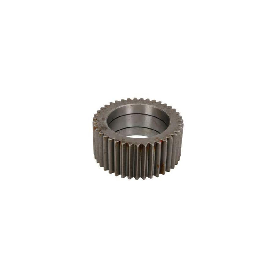 Bta B06-2069 Cap, Wheel Bearing