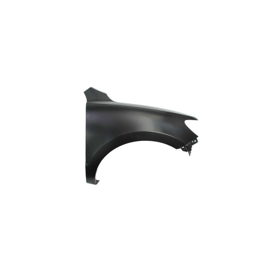 Blic 6504-04-3181314P Wing Fender For Hyundai Santa Fe II (Cm)