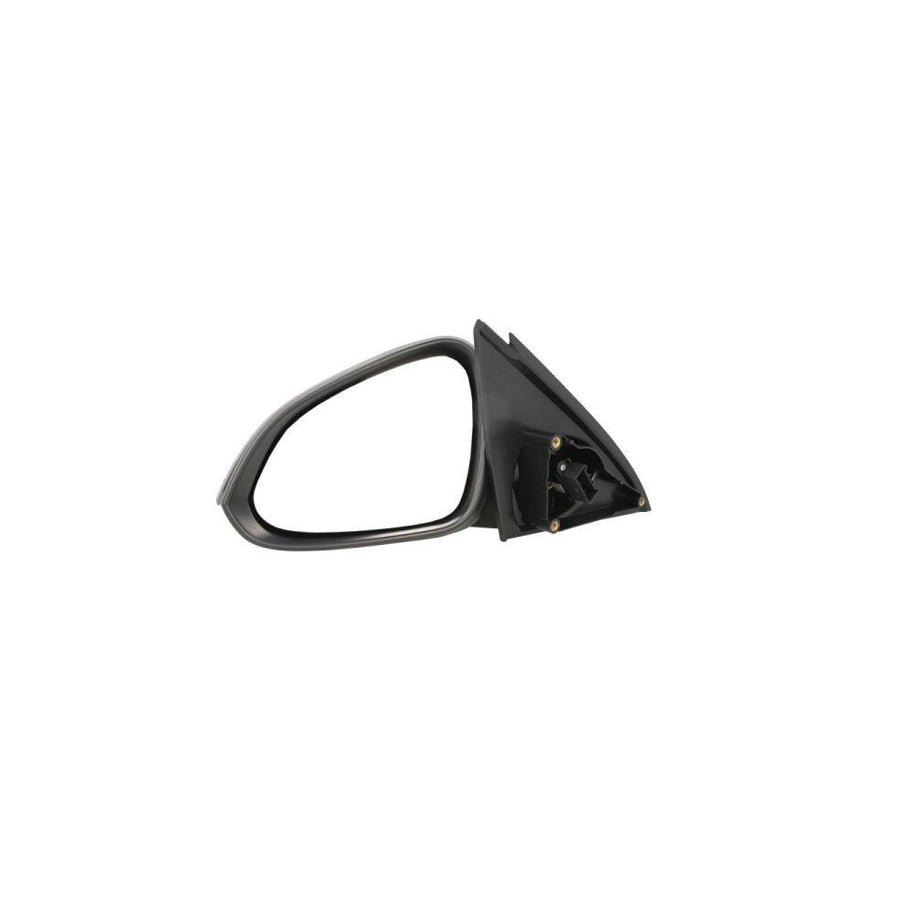 Blic 5402-04-1199221P Wing Mirror