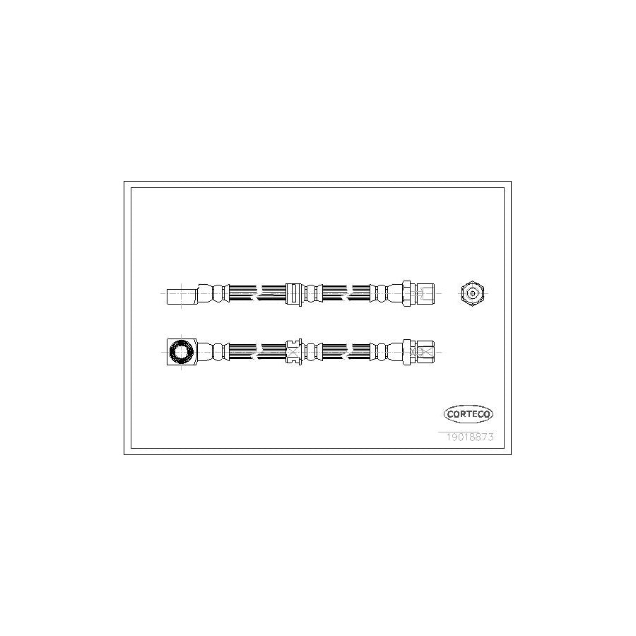 Corteco 19018873 Brake Hose | ML Performance UK