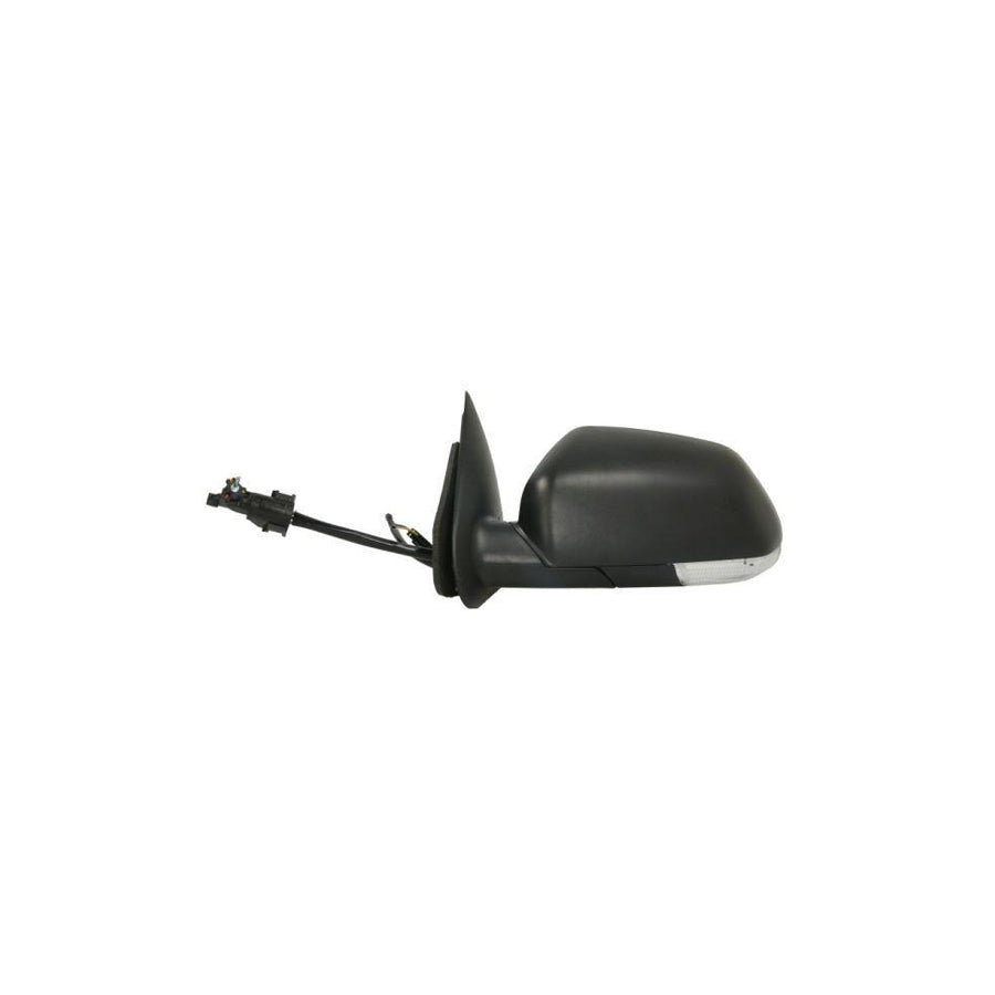 Blic 5402-04-1195522P Wing Mirror For Skoda Octavia