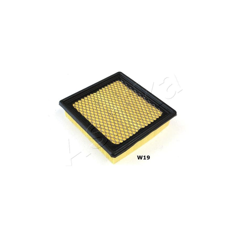 ASHIKA 20-0W-W19 Air Filter | ML Performance UK Car Parts