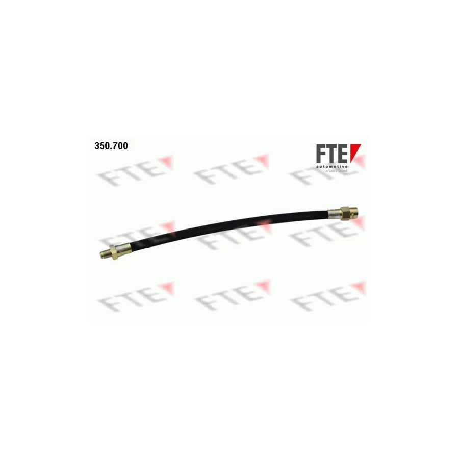 Fte 350.700 Brake Hose | ML Performance UK Car Parts