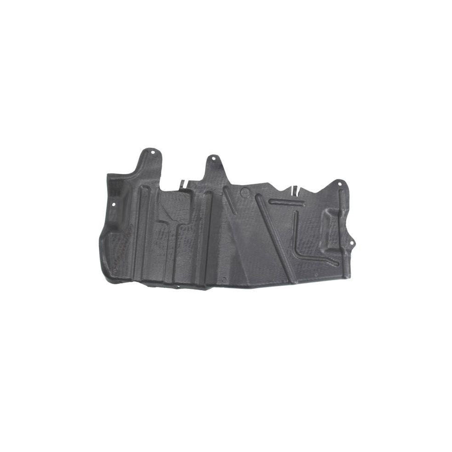 Blic 6601-02-9008874P Engine Cover