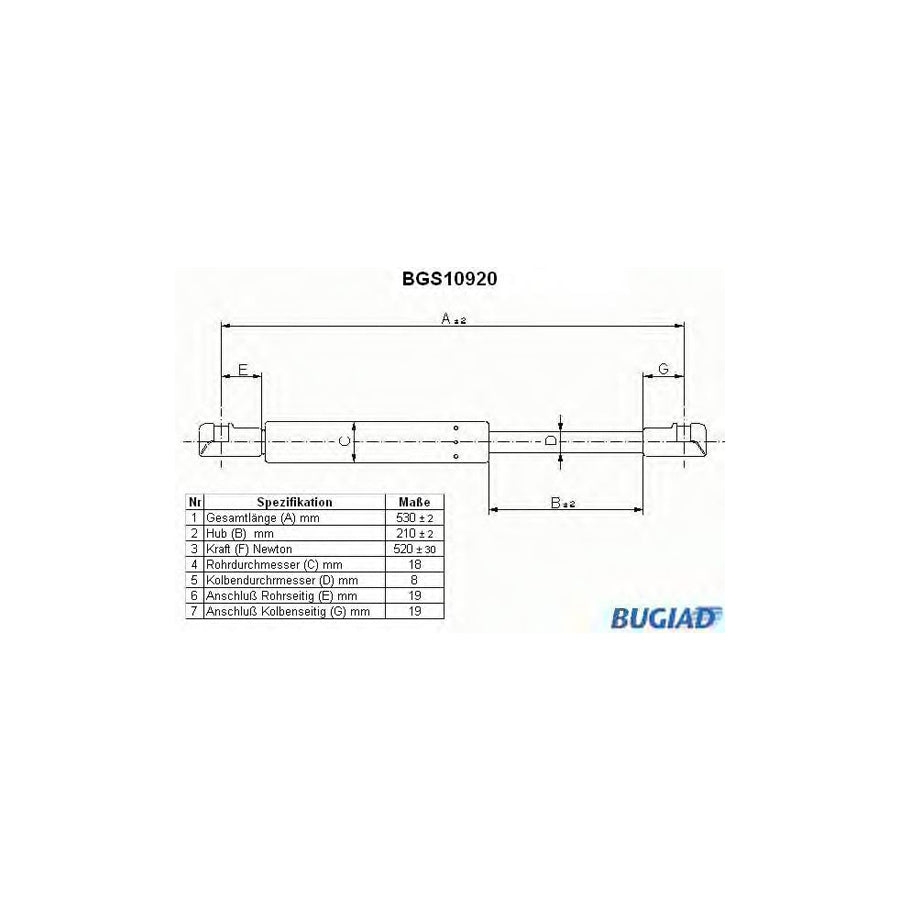 Bugiad BGS10920 Tailgate Strut For Bmw X5 (E53)