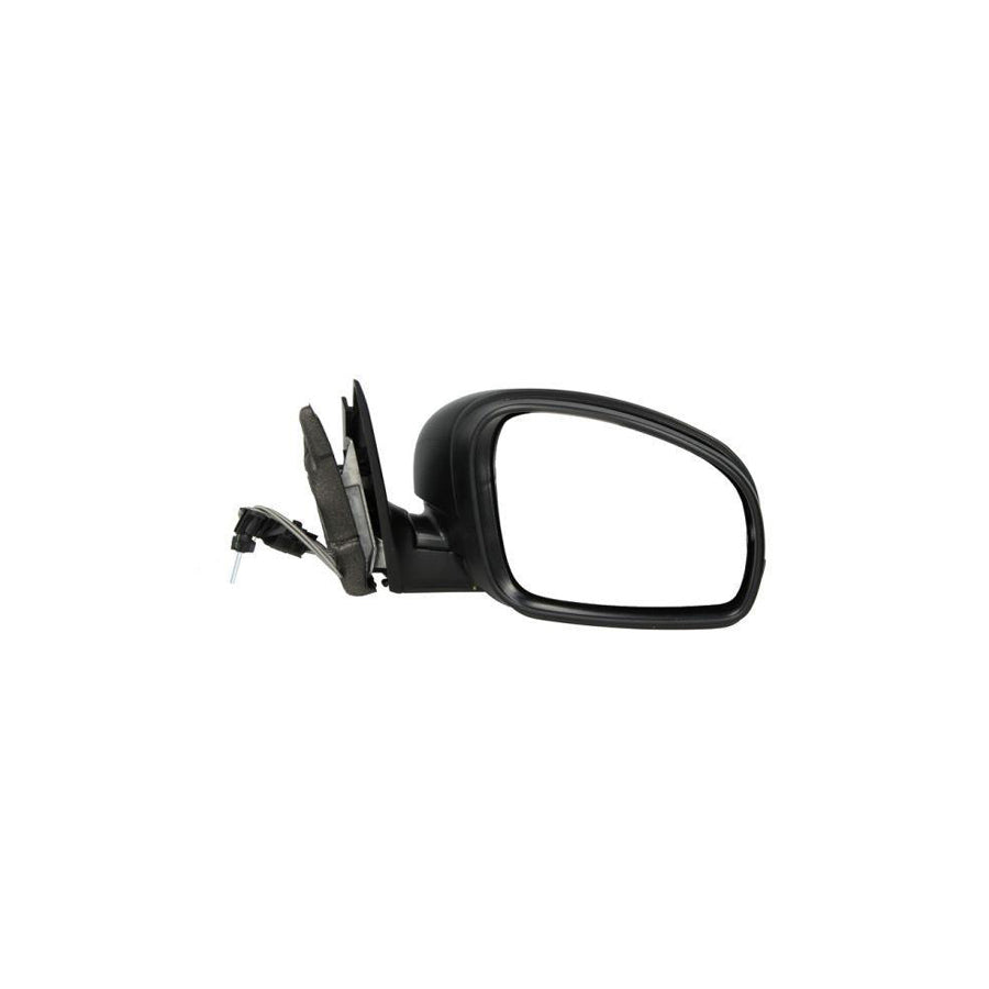 Blic 5402-04-1121559P Wing Mirror For Skoda Fabia