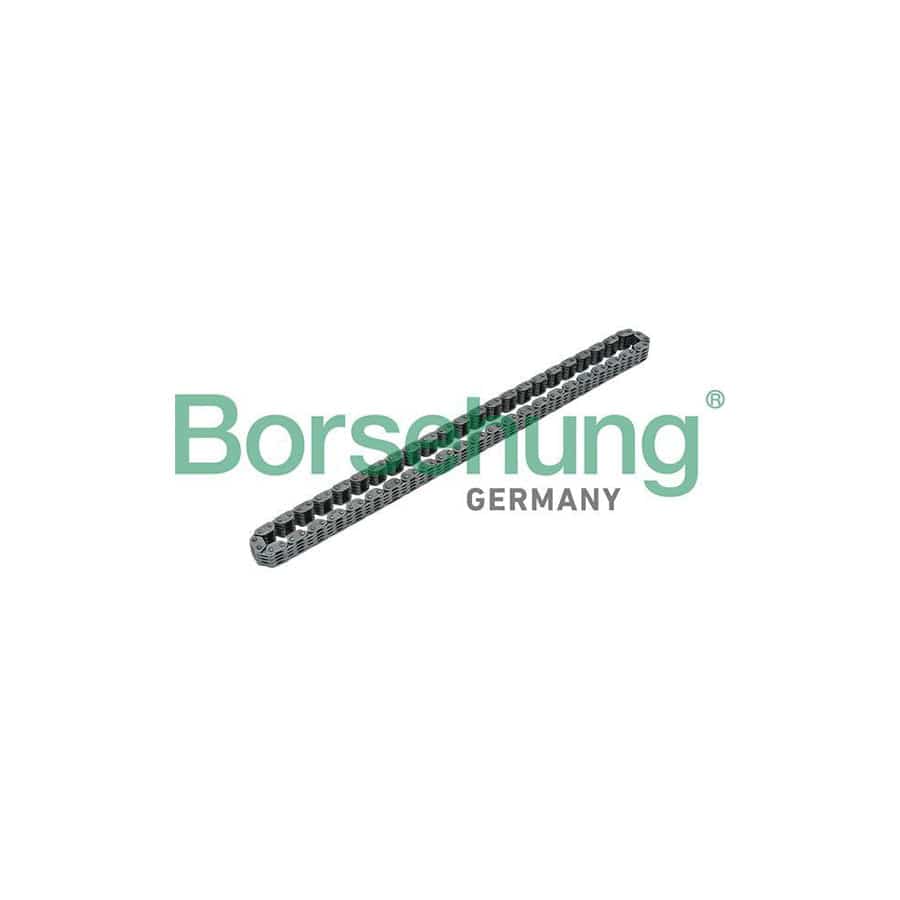 Borsehung B17885 Timing Chain