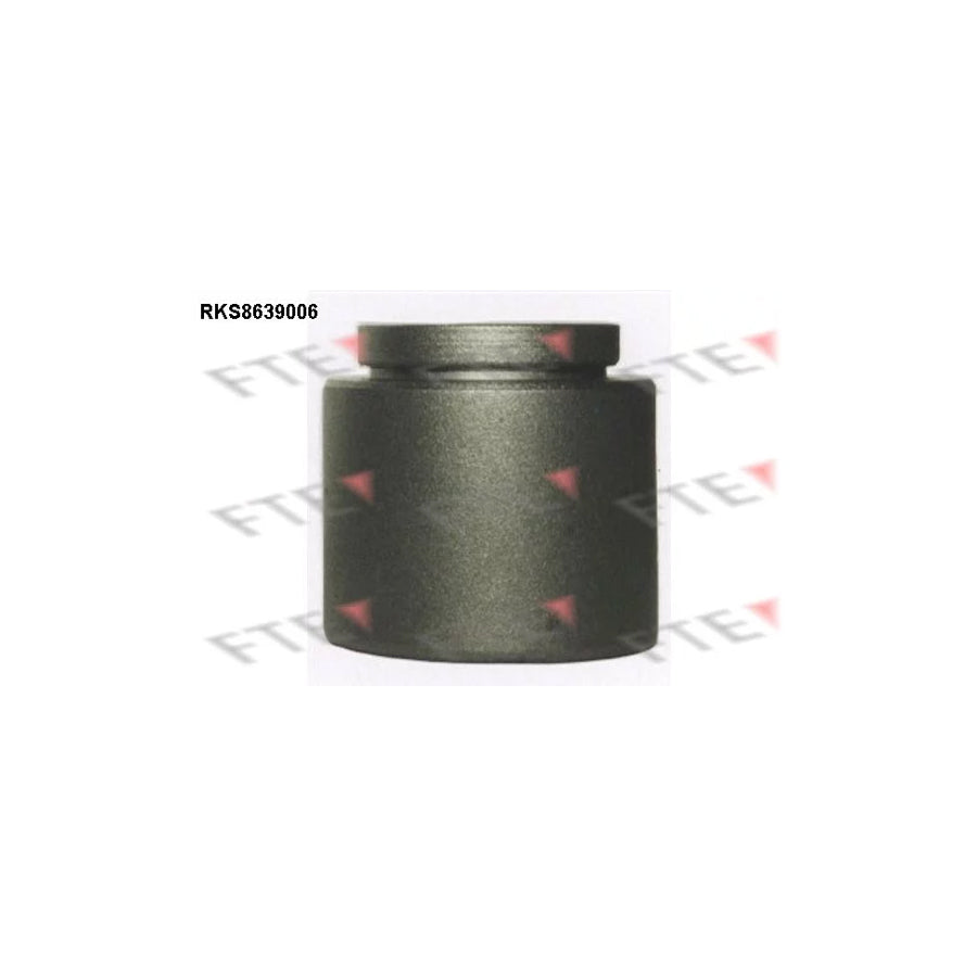 Fte RKS8639006 Piston, Brake Caliper | ML Performance UK Car Parts