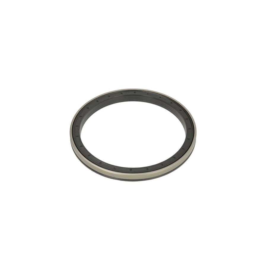 Bta B06-2100 Shaft Seal, Wheel Hub