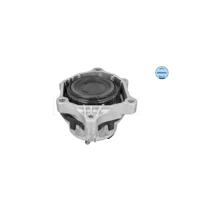 Meyle 300 118 1134 Engine Mount