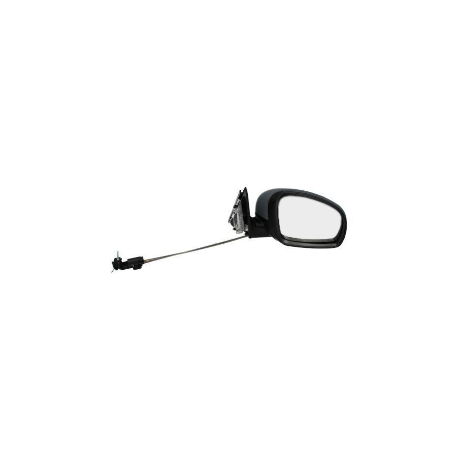 Blic 5402-04-1194123P Wing Mirror