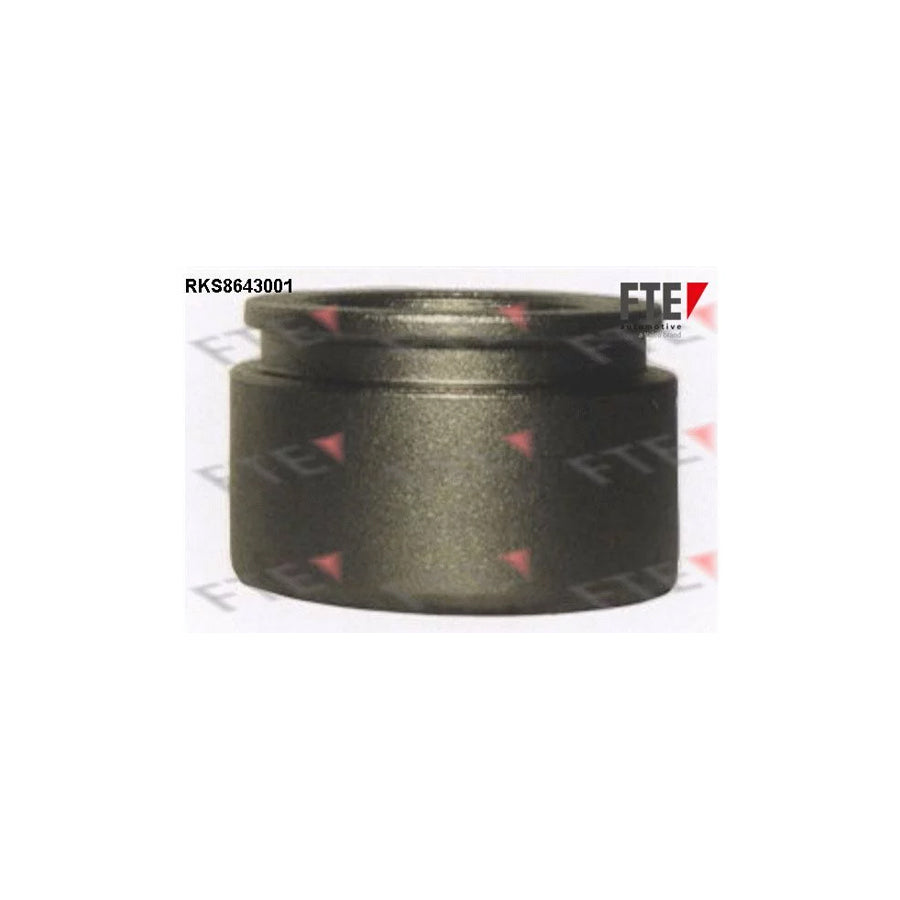 Fte RKS8643001 Piston, Brake Caliper | ML Performance UK Car Parts