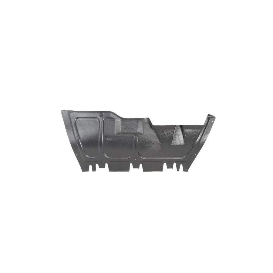 Blic 6601-02-9514860P Engine Cover For VW New Beetle