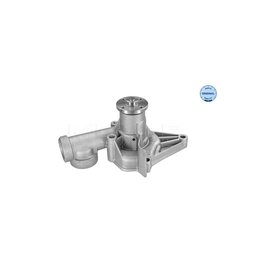 Meyle 32-13 097 0005 Water Pump