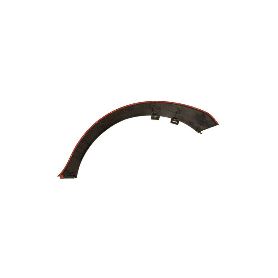 Blic 5703-06-6740574P Trim / Protective Strip, Mudguard