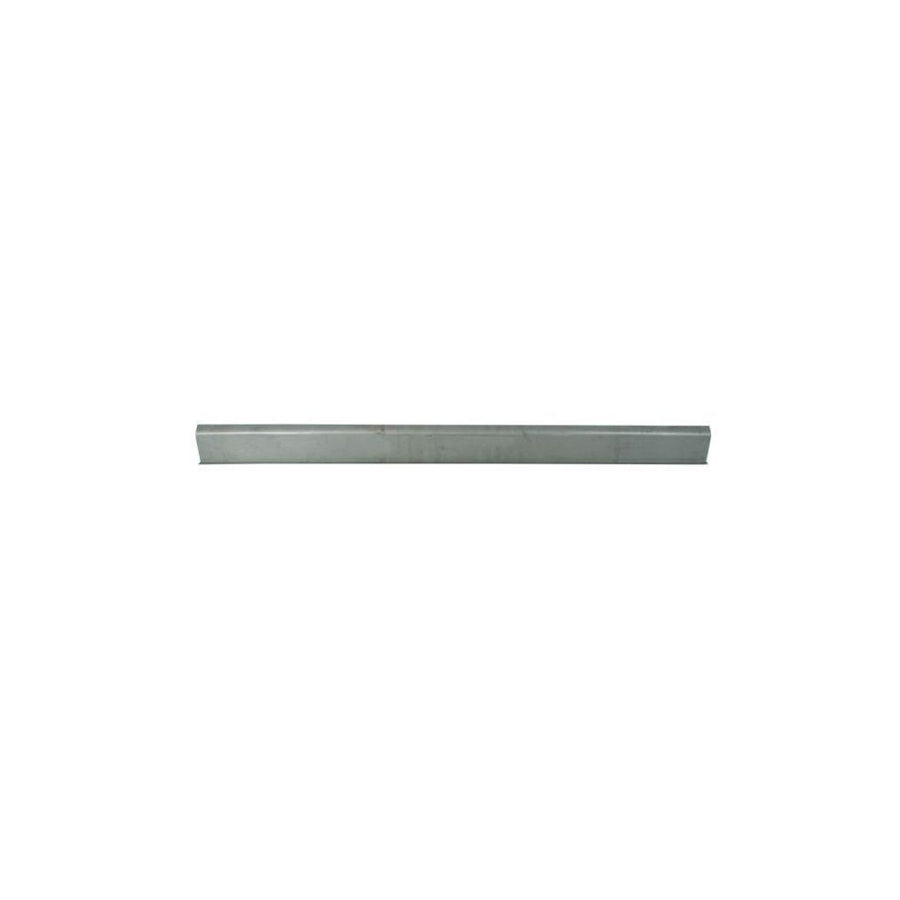 Blic 1020-67-003340P Rocker Panel