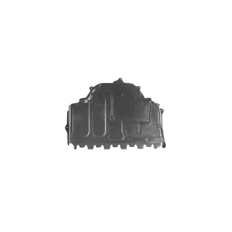 Blic 6601-02-9501860P Engine Cover