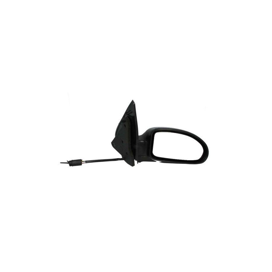 Blic 5402-04-1193123P Wing Mirror