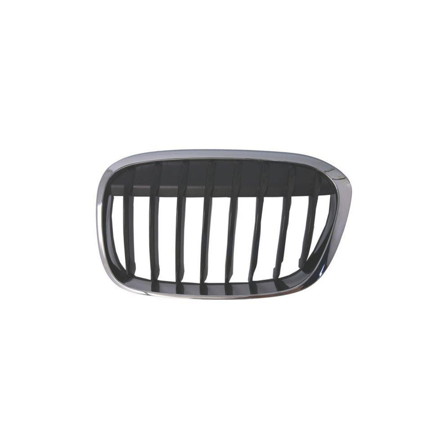 Blic 6502-07-0082993Mp Radiator Grille For BMW X1 (F48)