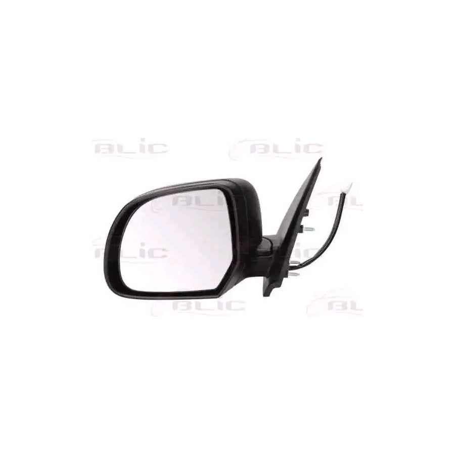 Blic 5402-16-2001909P Wing Mirror For Nissan Micra IV Hatchback (K13)