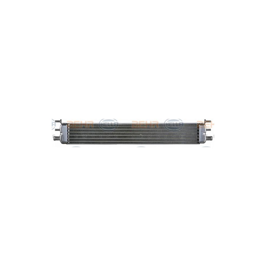 Hella 8MK 376 722-321 Engine Radiator