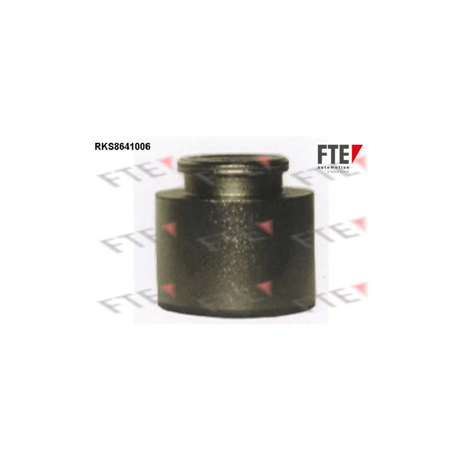 Fte RKS8641006 Piston, Brake Caliper | ML Performance UK Car Parts