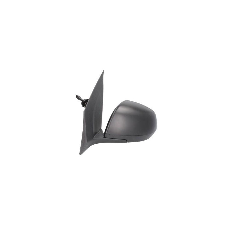 Blic 5402-16-2002897P Wing Mirror