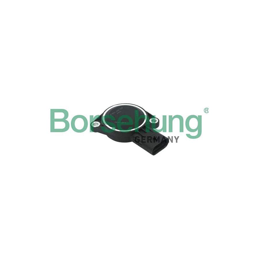 Borsehung B17951 Sensor, Suction Pipe Reverse Flap