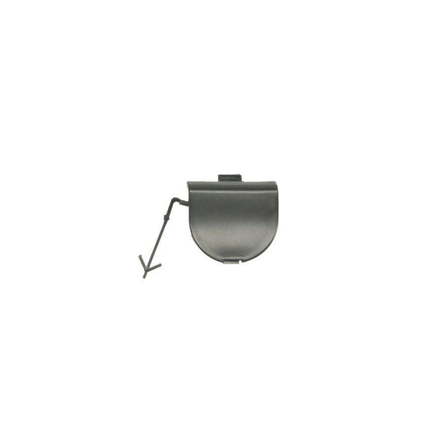 Blic 5513-00-2013966P Flap, Tow Hook