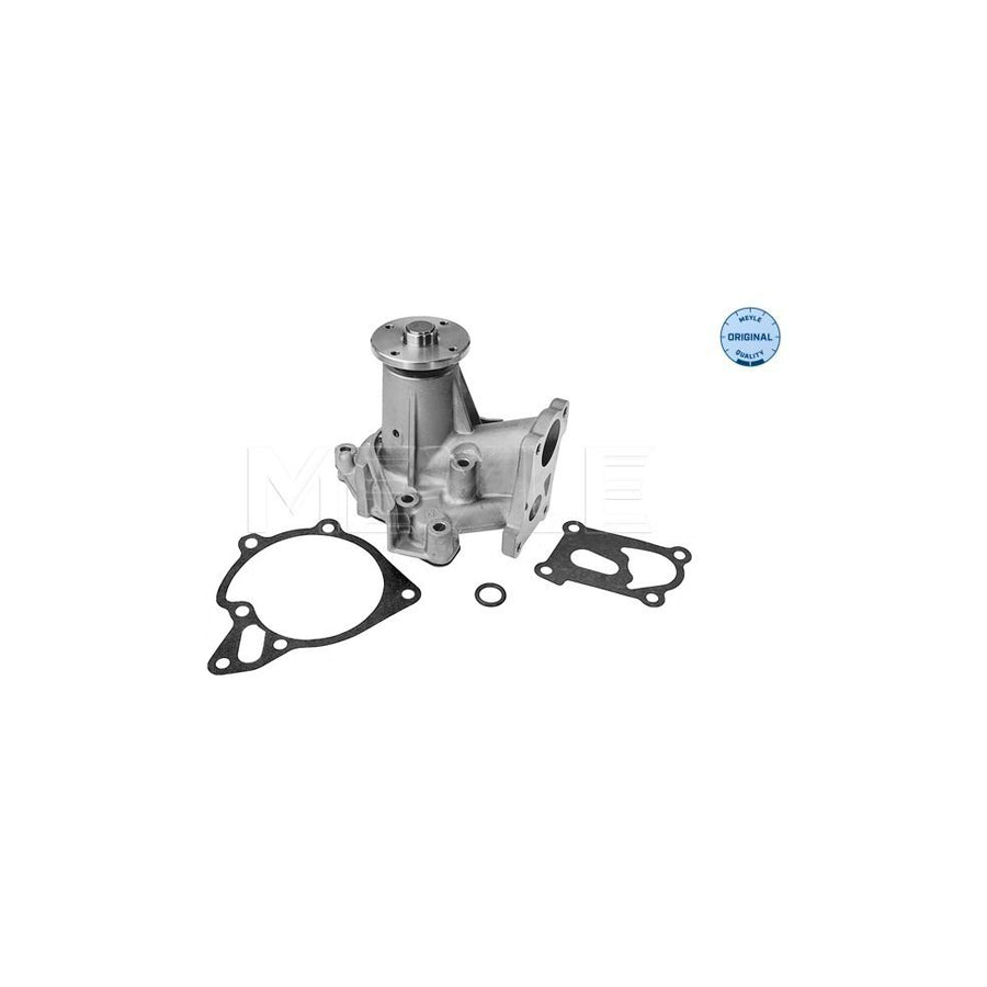 Meyle 32-13 220 0005 Water Pump