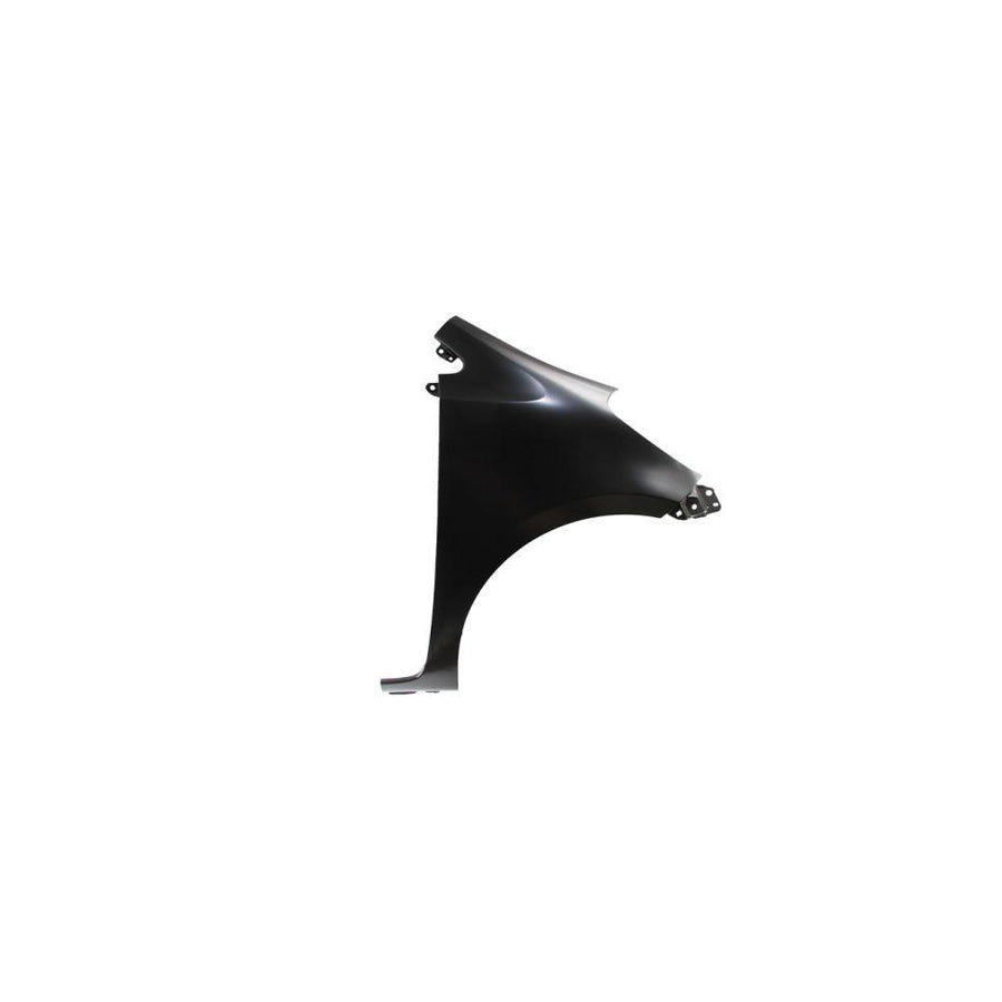 Blic 6504-04-8100312P Wing Fender For Toyota Iq (Aj10)