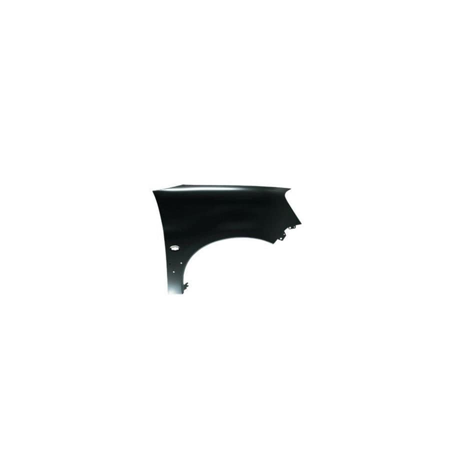 Abakus 00924262 Wing Fender For Citroën Berlingo | ML Performance UK