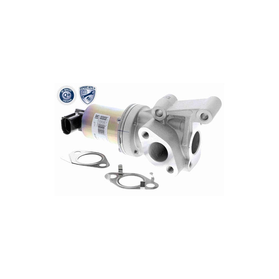 Ackoja A52-63-0014 Egr Valve | ML Performance UK