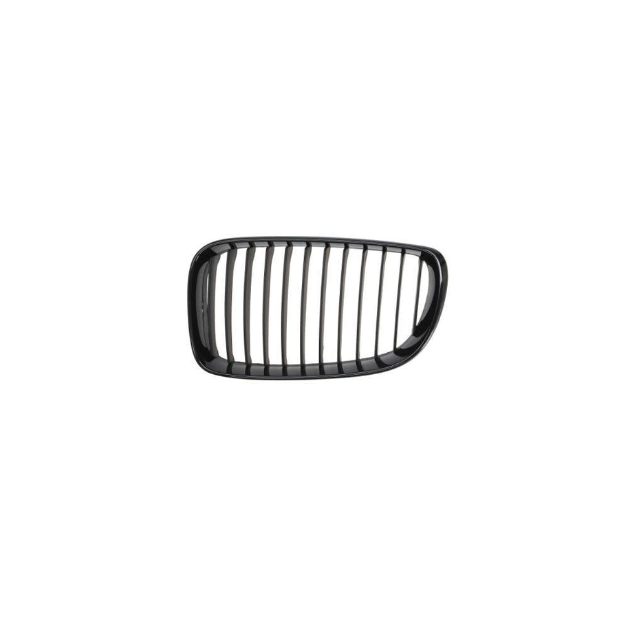 Blic 6502-07-0085999P Radiator Grille For BMW 1 Series