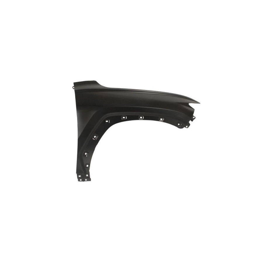 Blic 6504-04-3187312P Wing Fender