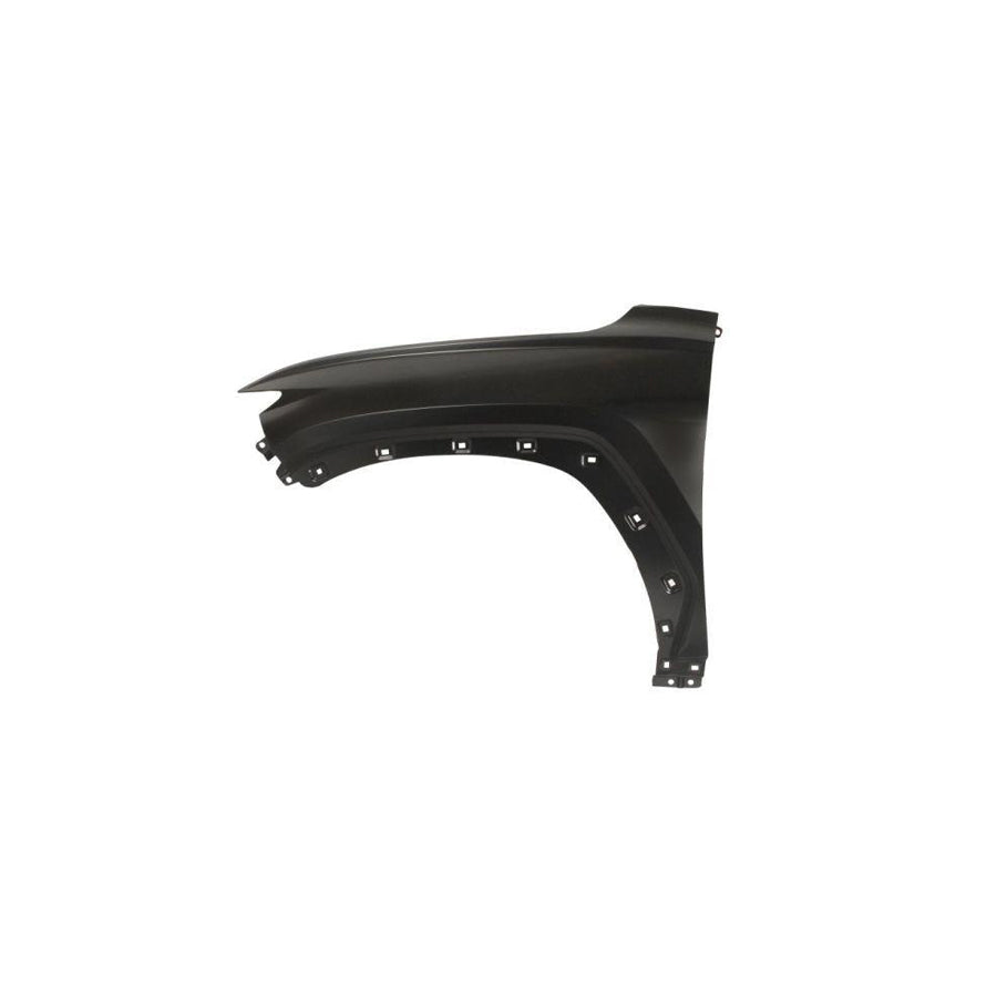 Blic 6504-04-3187311P Wing Fender