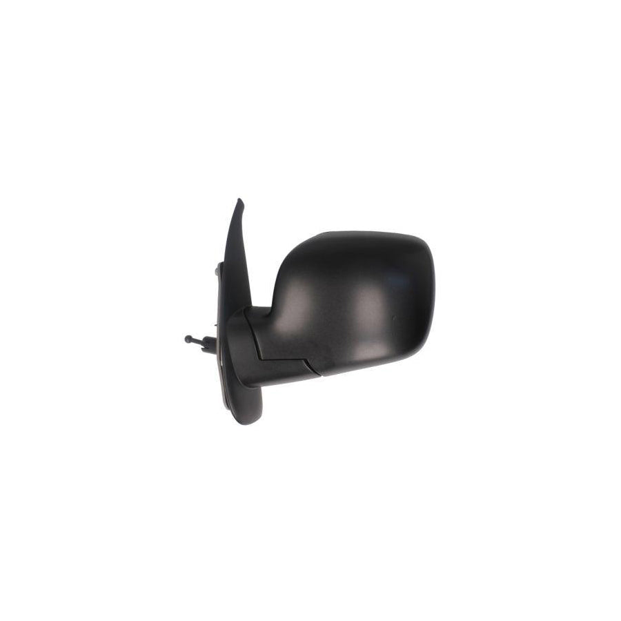 Blic 5402-04-1121578P Wing Mirror For Renault Kangoo