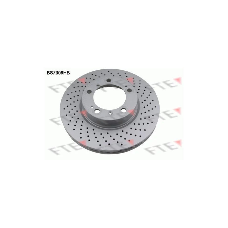 Fte BS7309HB Brake Disc | ML Performance UK Car Parts