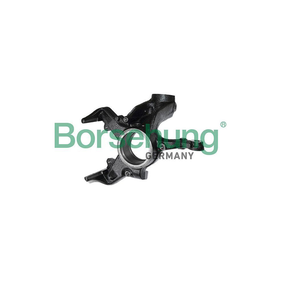 Borsehung B17941 Steering Knuckle