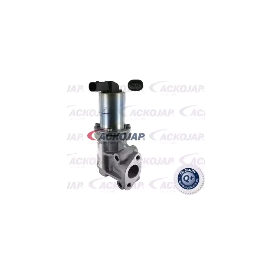 Ackoja A52-63-0006 Egr Valve | ML Performance UK