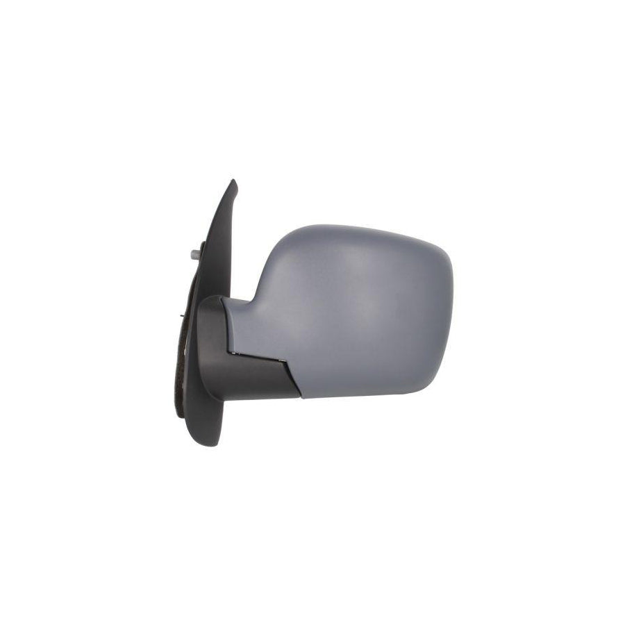 Blic 5402-04-1121569P Wing Mirror For Renault Kangoo