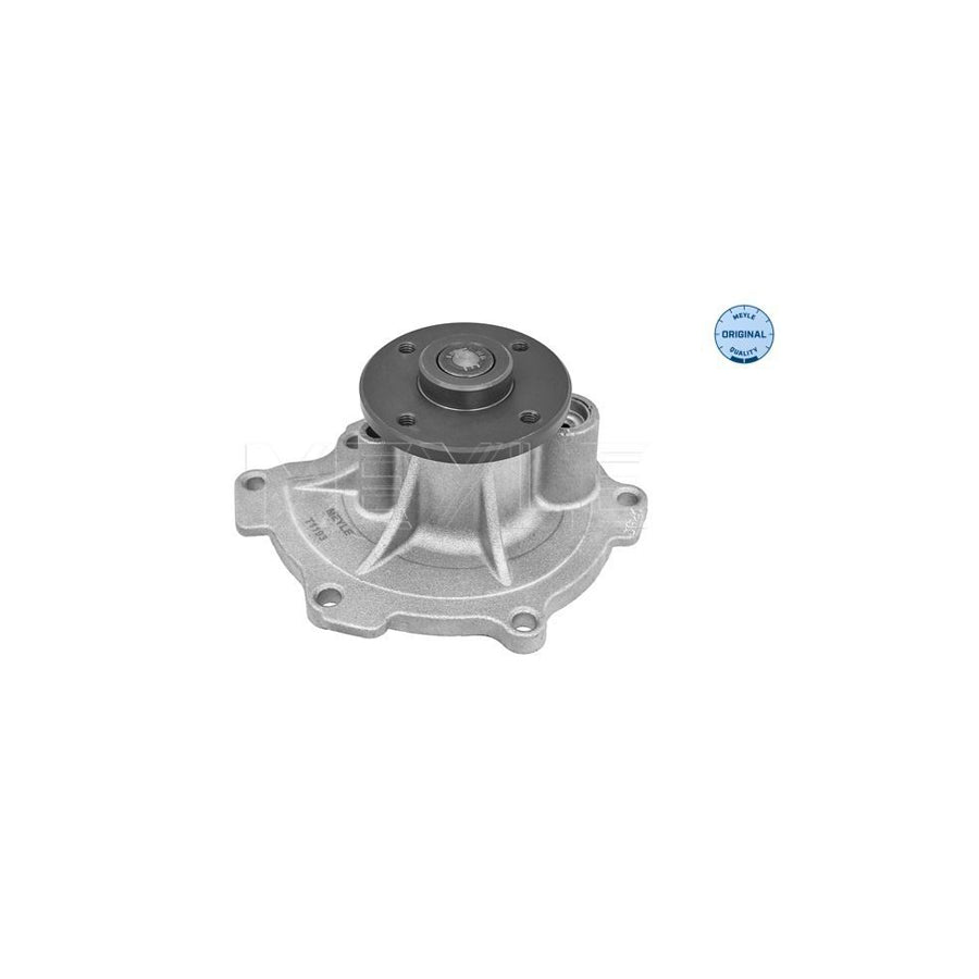 Meyle 32-13 220 0017 Water Pump