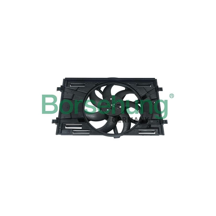 Borsehung B17917 Fan, Radiator