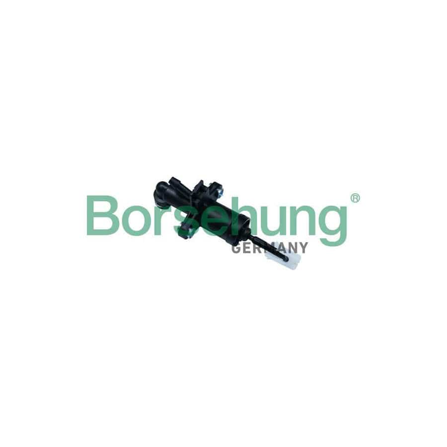 Borsehung B17916 Master Cylinder, Clutch